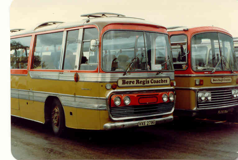 VXE 278G Leyland Panther