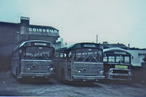 Drouin buses